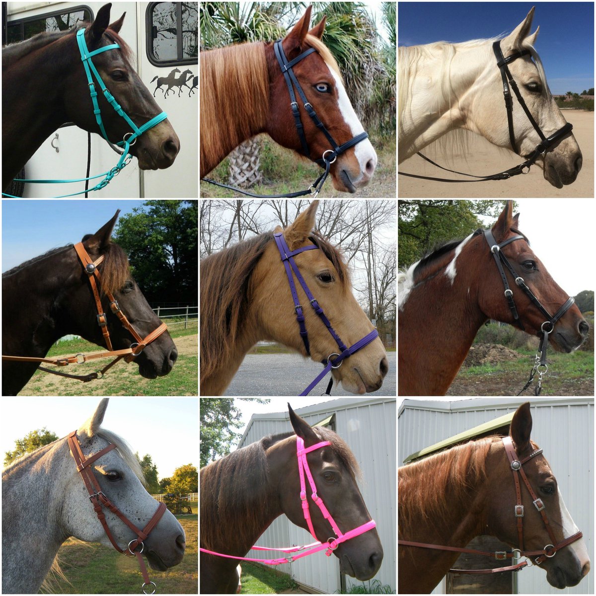 The Bitless Bridle On Twitter Weekend Sale Save 10 On All Dr