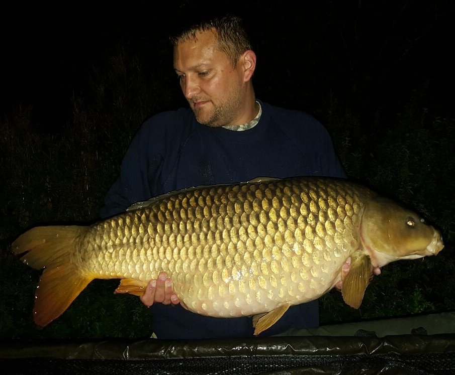 tony830's tweet photo. @ccmoore_baits 34.12 lbs common thanks to Pacific tuna first time using the bait https://t.co/7kJqNyIl1N
