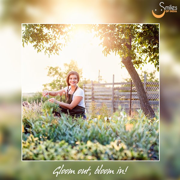 SmilesOfIndia's tweet photo. Start gardening! Enjoy the beauty of nature and take in the fresh air.
#SmileToShine #SmilesOfIndia https://t.co/ydFUXMbTXt