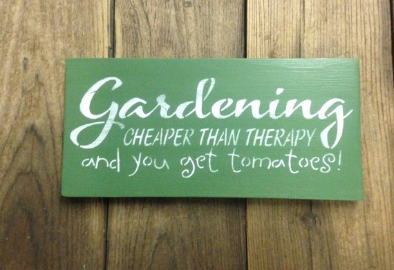 Tanglewood Garden tweet media