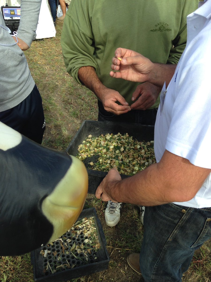 MASseedsfrance's tweet photo. On parle finesse et qualitรฉ #ensilage aux rencontres agronomiques et รฉlevage
#rae2016 https://t.co/VdM7hr4Isd