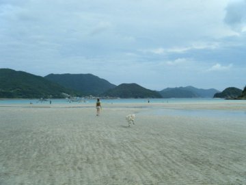 ばらかもん 舞台地の島のモデルは アニメに出た場所は実際にある 徹底調査