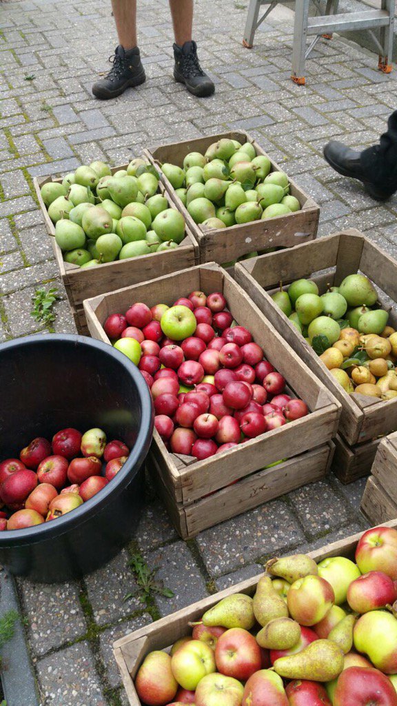 Zuidpark's tweet photo. Vandaag 100 kilo appels en peren geoogst van ons urban farming dak. https://t.co/6svJiQYV1d