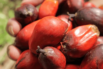 greenpalmoil's tweet photo. Pepsico confident of hitting targets for sustainable palm oil action plan https://t.co/i6TiHOuIJI https://t.co/bM4a1sP8Yg