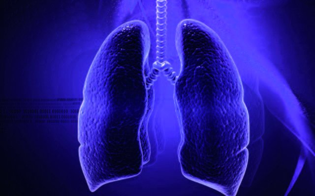 UCLA researchers use stem cells to grow 3-D lung-in-a-dish via <a href="/UCLA/">UCLA</a> #stemcells #regenmed
 newsroom.ucla.edu/releases/ucla-… …