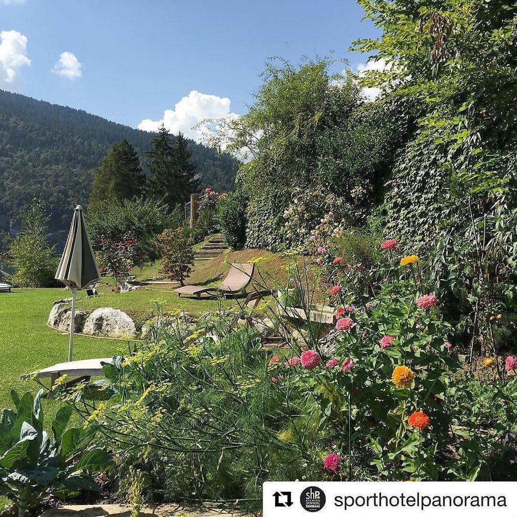 ...tranquillità in giardino, un hotel con un grande e speciale giardino, relax garantito💚💚💚 #sporthotelpanorama #gi…