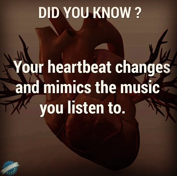 DeeJaySTARkey's tweet photo. Maybe this is why i tell people MUSIC is in my HEART
#DeeJaySTARkey #dj #producer #quote https://t.co/McqRxMJgC6