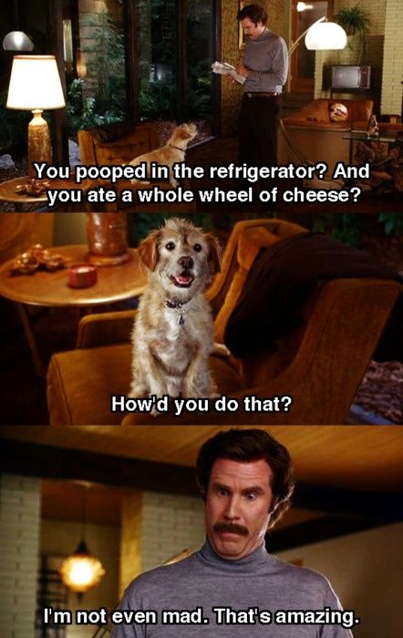 1989_stefan's tweet photo. Baxterley has been upto his old tricks again!! #poogate #poogate #jeremykyle #anchorman #whopooedinthefridge https://t.co/21aRS16z2v