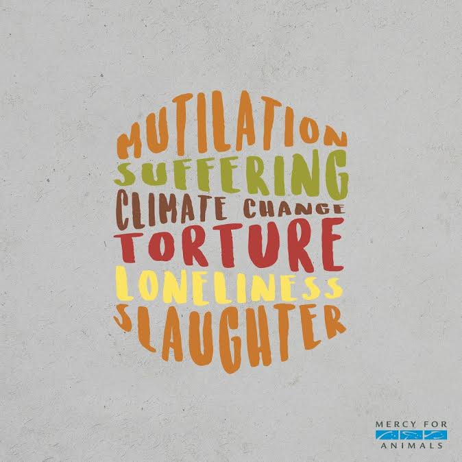 MercyForAnimals's tweet photo. What's in your food? Choose compassion. #GoVegan https://t.co/fz14AgfMEI