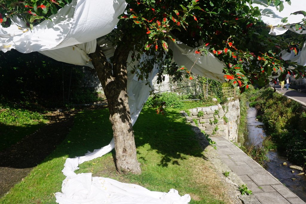 HonitonDFAS's tweet photo. Wrapped up trees and hanging bricks-all part of the current Lyme Regis Arts Fest. @LymeRegisArts https://t.co/guthuSYygk