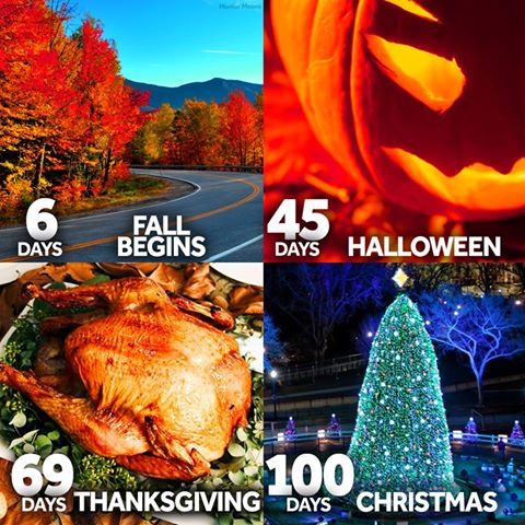 MyNBC5's tweet photo. https://t.co/Oeb9kWrlGL