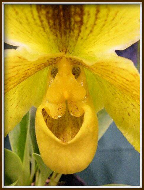 Happy Friday! #floralimage