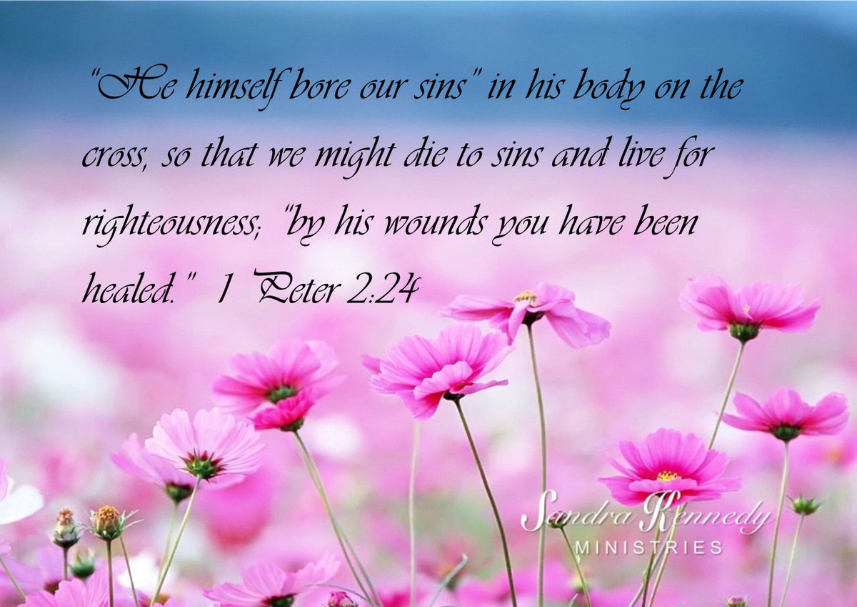 WholeLifeM's tweet photo. “By his wounds you have been healed.” 1 Peter 2:24
#HealingExplosion #Tonight #healingisreal #wholelifeministries https://t.co/9BWurWVXL6