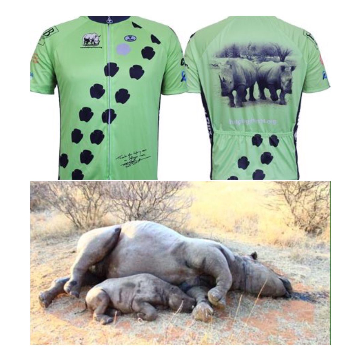theartofcontrol's tweet photo. We surely can't let rhinos be poached to extinction? Please RT &amp; sponsor our cyclists: https://t.co/FZ5LeLk3wR https://t.co/lTPHqSOu6a