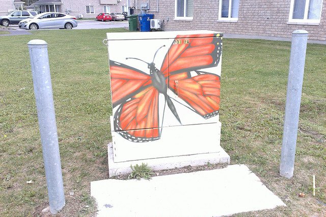 ville_gatineau's tweet photo. Dès mercredi, 4 artistes-graffiteurs de #Gatineau décoreront 14 boîtes brunes de @Bell_FR https://t.co/puG74CYqSv https://t.co/I1FMC4nhK9