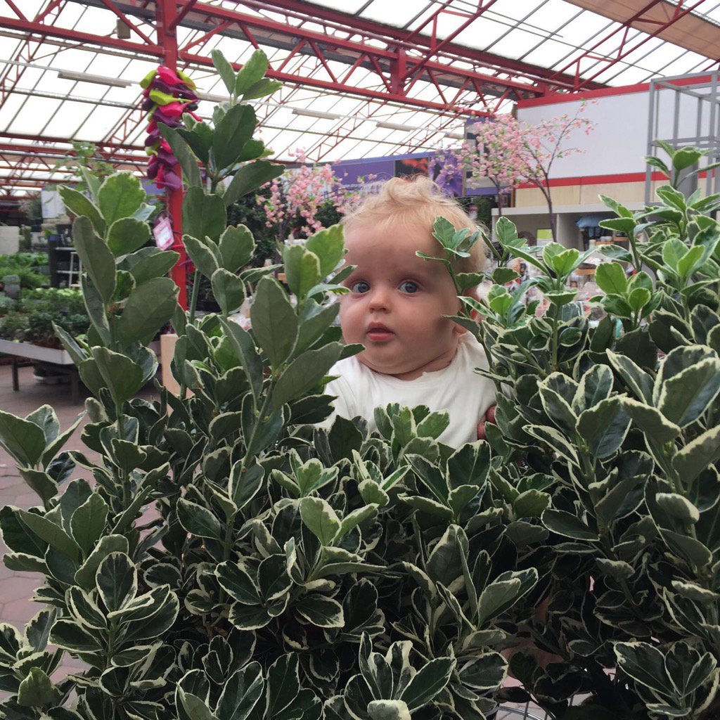 Opa en oma spelen verstoppertje met Kik bij de Intratuin. #kiekeboe ^Dad