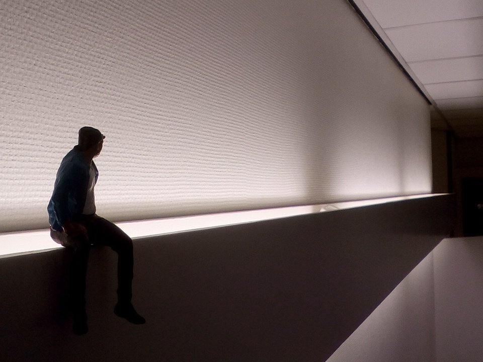 Just spotted this little traveller #MovingPeople