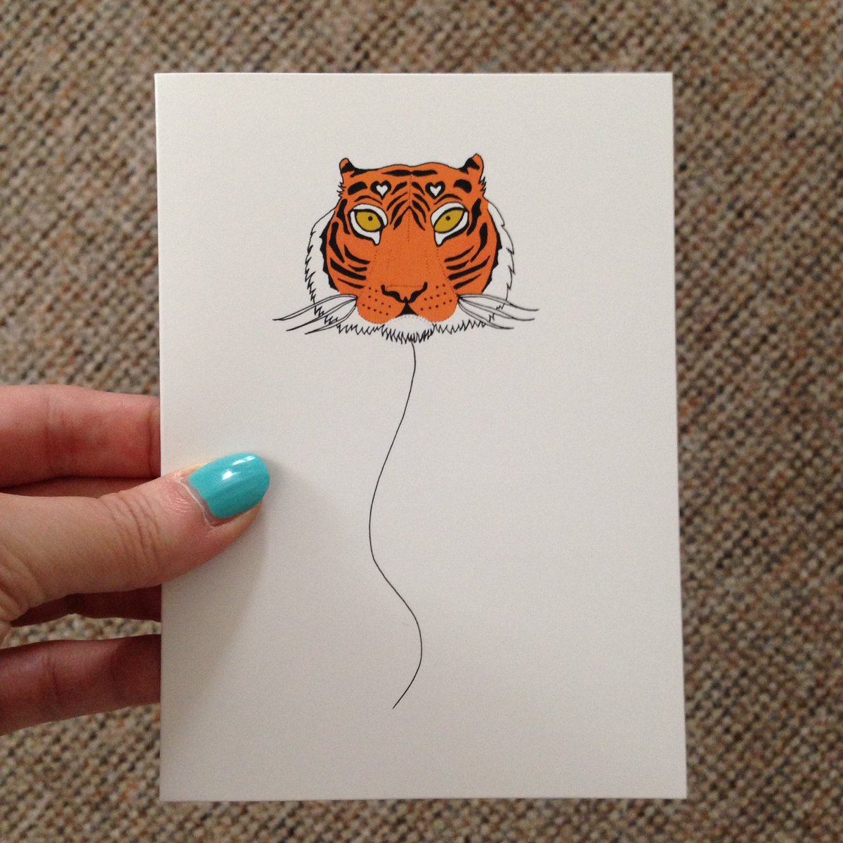 Jo Middleton 🐱 tweet media