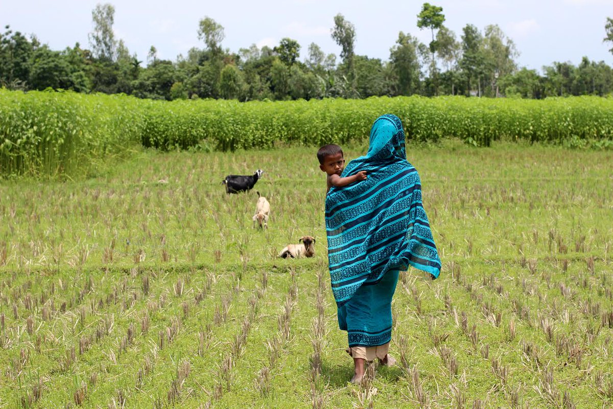 CARE_Pathways's tweet photo. Summer intern Helena reports on her work with @Landesa_Global and @CAREIndia https://t.co/3IxZ6Gk3X4 https://t.co/Tv2VWp26sQ