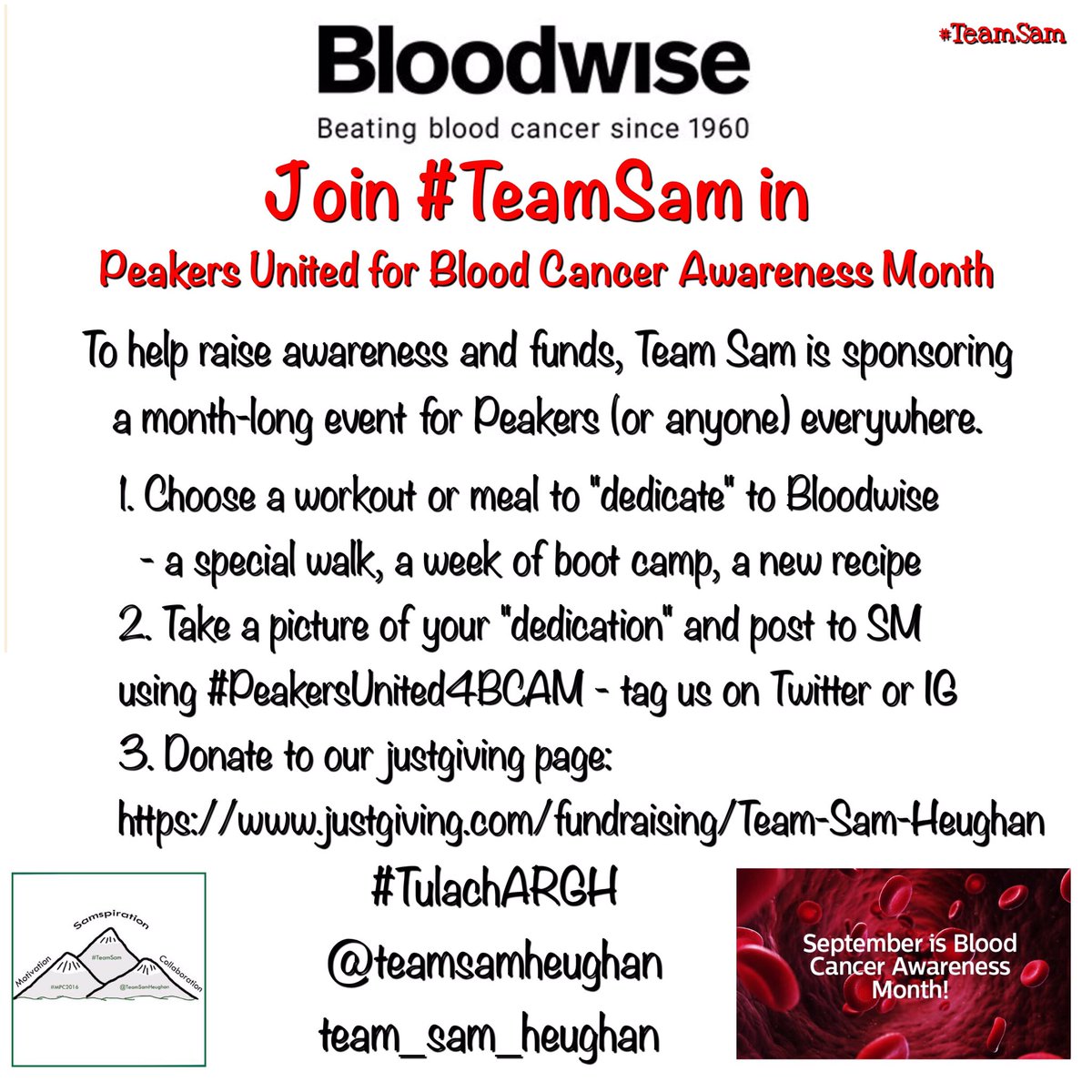 #TeamSam Has Read The 📚 tweet media