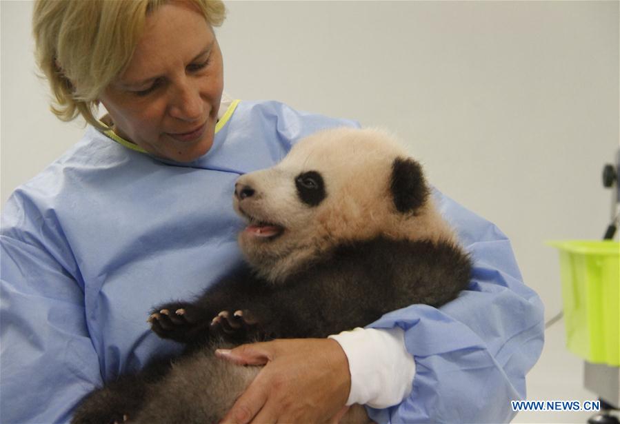 Hello world! Tianbao here. Belgian zoo on Thu named 3-month-old panda "TianBao", aka "treasure of heaven" in Chinese