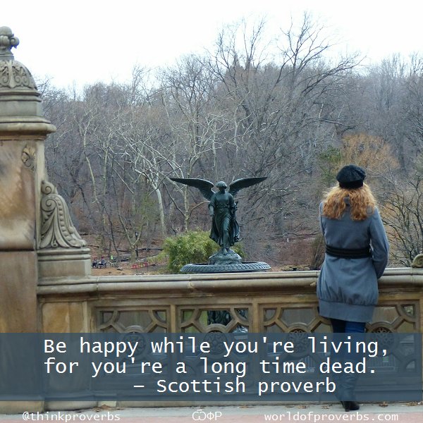 thinkproverbs's tweet image. Scottish Proverb — 
     Be happy while you're living, for you're a long time dead . . .

ѾФР | #quotes