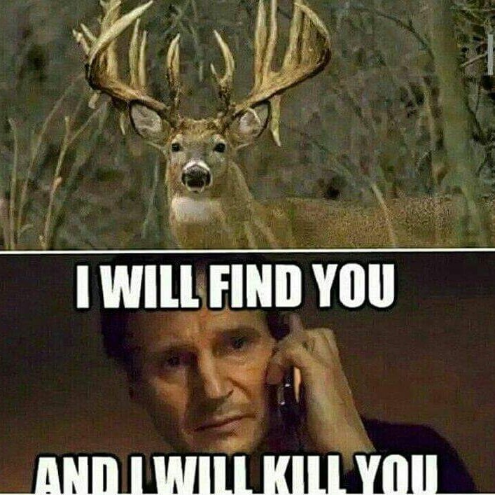 ThickBrushOutdr's tweet photo. The weekend is here friends #hunting #archery #blackpowder #deer #buck #ThickbrushOutdoors #scentdrag #arrowholder https://t.co/qepUeNNdmF