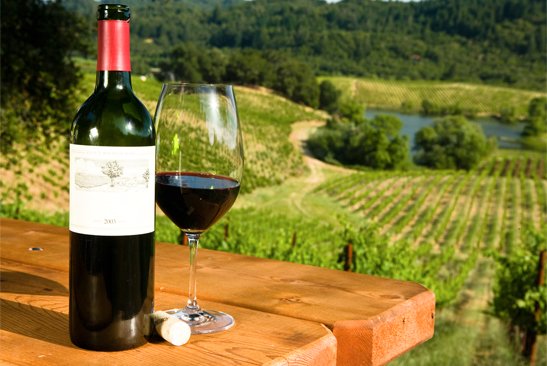 TravelFood_Wine's tweet photo. “A bottle of wine begs to be shared I have never met a miserly Wine Lover” ― Clifton Fadiman #WineQuotes #Wine 🍷🍷🍇 https://t.co/989KqlvlU8