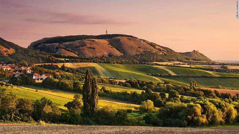 TravelFood_Wine's tweet photo. “A bottle of wine begs to be shared I have never met a miserly Wine Lover” ― Clifton Fadiman #WineQuotes #Wine 🍷🍷🍇 https://t.co/989KqlvlU8