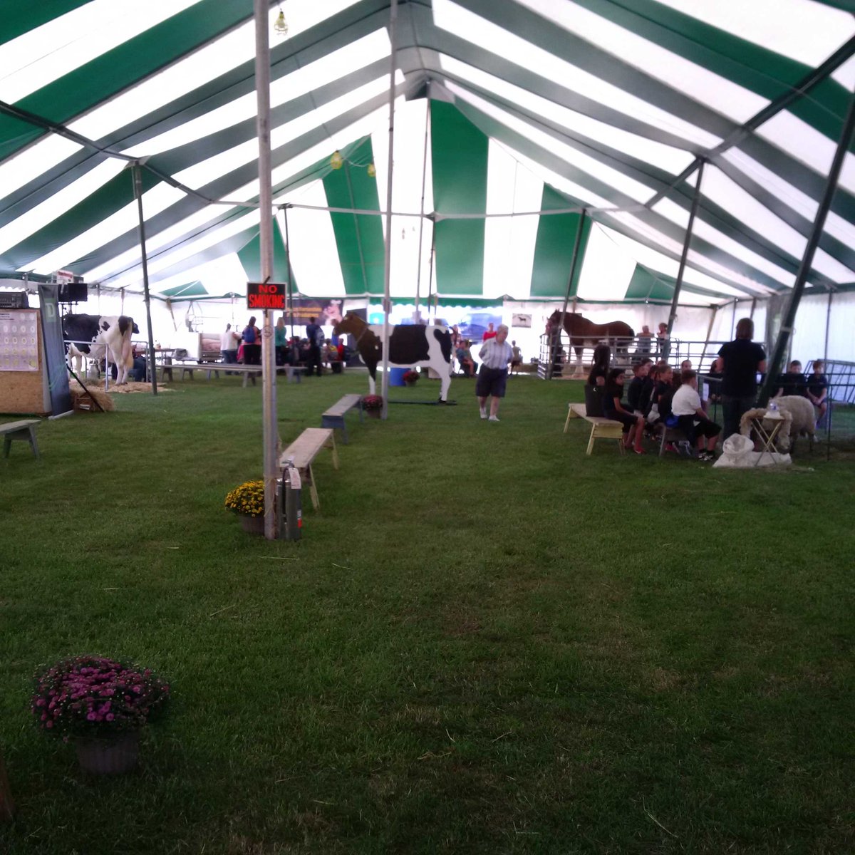 BJohnson643's tweet photo. The farmer's classroom for inner city kids @binbrookfair #volunteers #citymeetscountry https://t.co/mNipCFTgpt