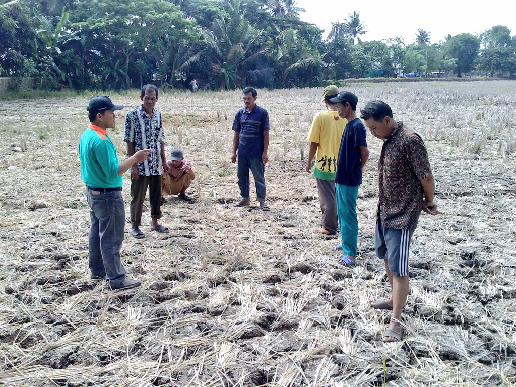 Tdz_HanifMuslim's tweet photo. Yth.Bpk.@jokowi kami siap mengawal swasembada pangan berkelanjutan demi Kedaulatan Nasional. #AngkatTHLTBPPJadiPNS https://t.co/d4wvNZKFmS