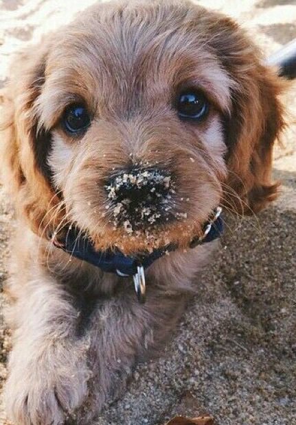 nikitaluke's tweet photo. if you're having a bad day 👏😍💕 https://t.co/ENSloaVmw8