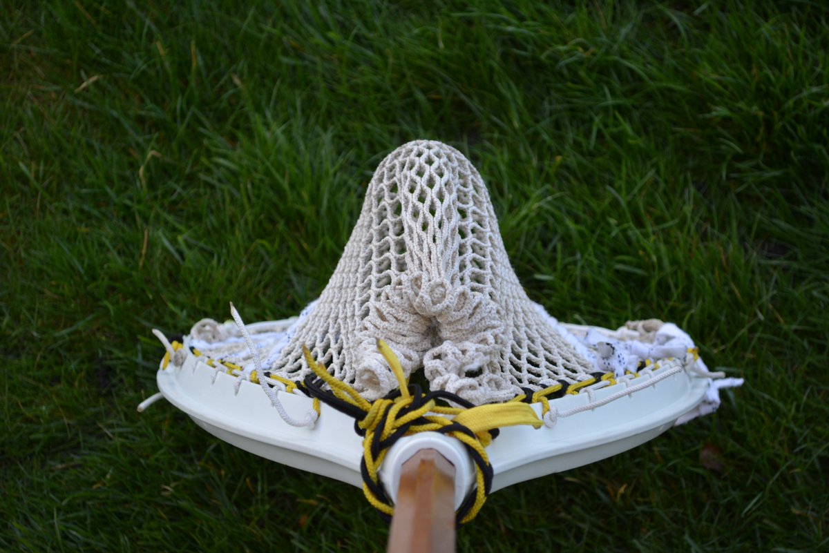 Bucky T. tweet media