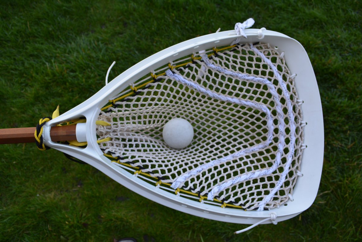 Bucky T. tweet media