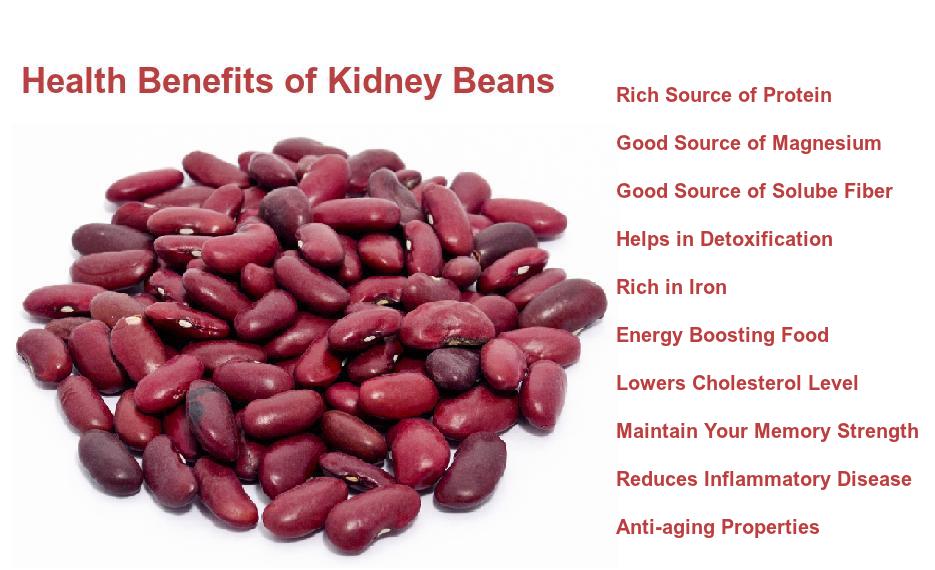 rense fly Installere Elegant Beans on Twitter: "Health Benefits of Kidney Beans.  https://t.co/zknPJDf2o1" / Twitter