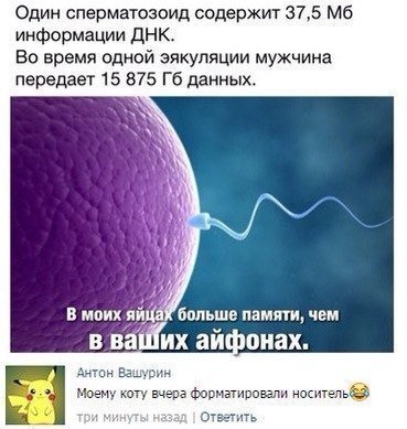 MichaelMouse5's tweet image. 