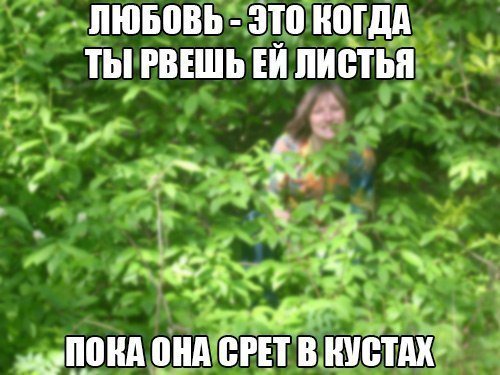 MichaelMouse5's tweet image. 