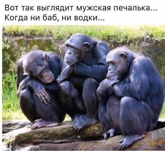 MichaelMouse5's tweet image. 