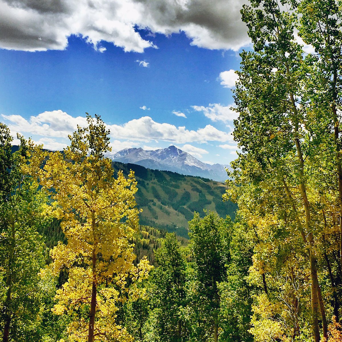 vailmtn's tweet photo. It's starting to look a lot like #vailfall around here! P: Carey Hoffman https://t.co/JHD7hRYUMj