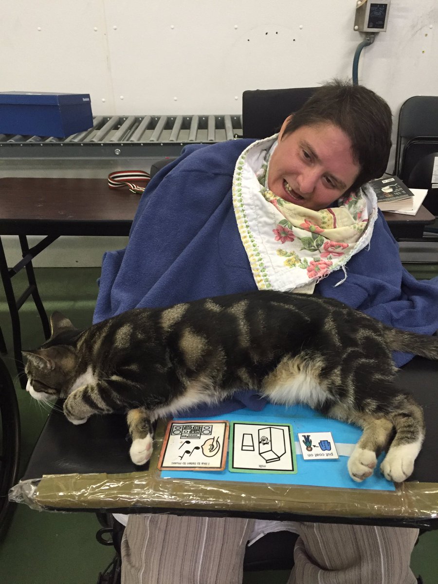 MarkWorks247's tweet photo. The new #DonationCentre kitty @calgarydropin has come out to hang with out great volunteers! https://t.co/0rgO51to0p