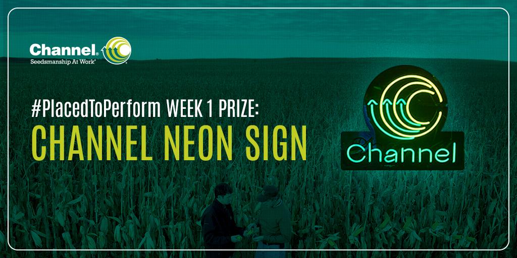 ChannelSeed's tweet image. Tweet a harvest photo. Tag the Seedsman who helped you along the way. Win weekly prizes. #PlacedToPerform