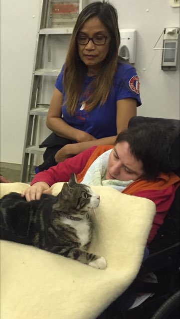 MarkWorks247's tweet photo. Last week our #DonationCentre cat hid 247...our #Options group came with Ruby(Work Dog) -the result!@calgarydropin https://t.co/ouB64C9cO9