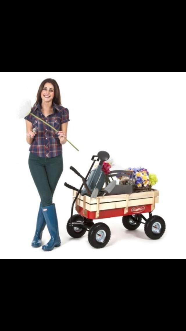 Decwells tweet media