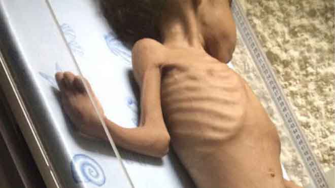 View image on Twitter