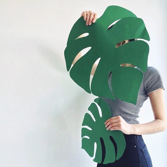 CambieDesign's tweet photo. We're designing our opening day windows today and looking back at some of our favourite past creations! 🌿  #fbf https://t.co/aZx8DMoIcK