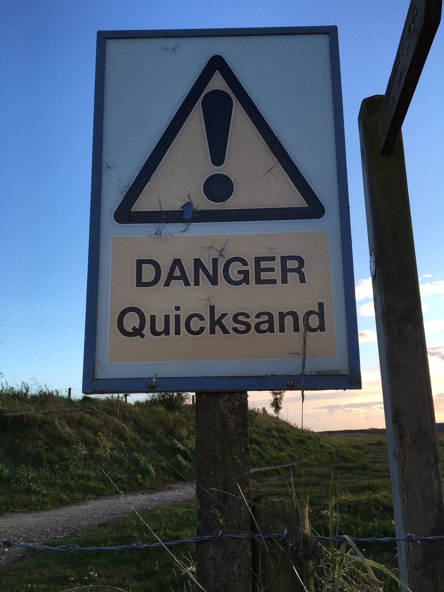 Scott Hoad tweet media