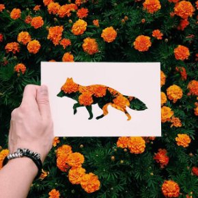 Ashe_Urban's tweet photo. Obsessed with @n_tolstyh's paper cutouts:
https://t.co/OAZNtLdbYw #design https://t.co/ORz3RuiUb8