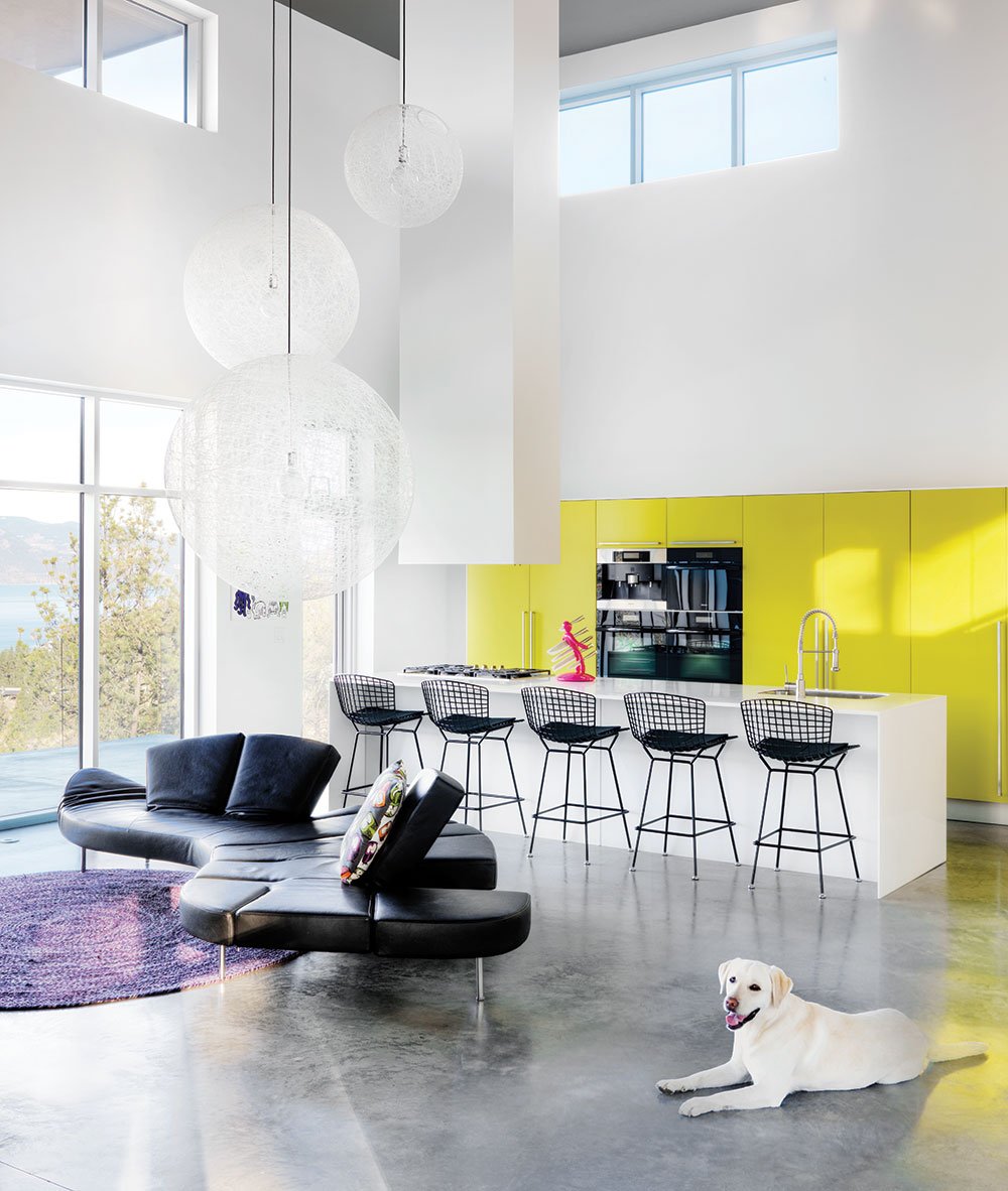 Western_Living's tweet photo. Your daily eye candy: 8 lucky dogs living in nicer houses than us. https://t.co/x5YUWRChZj https://t.co/6jeUFsA6dY