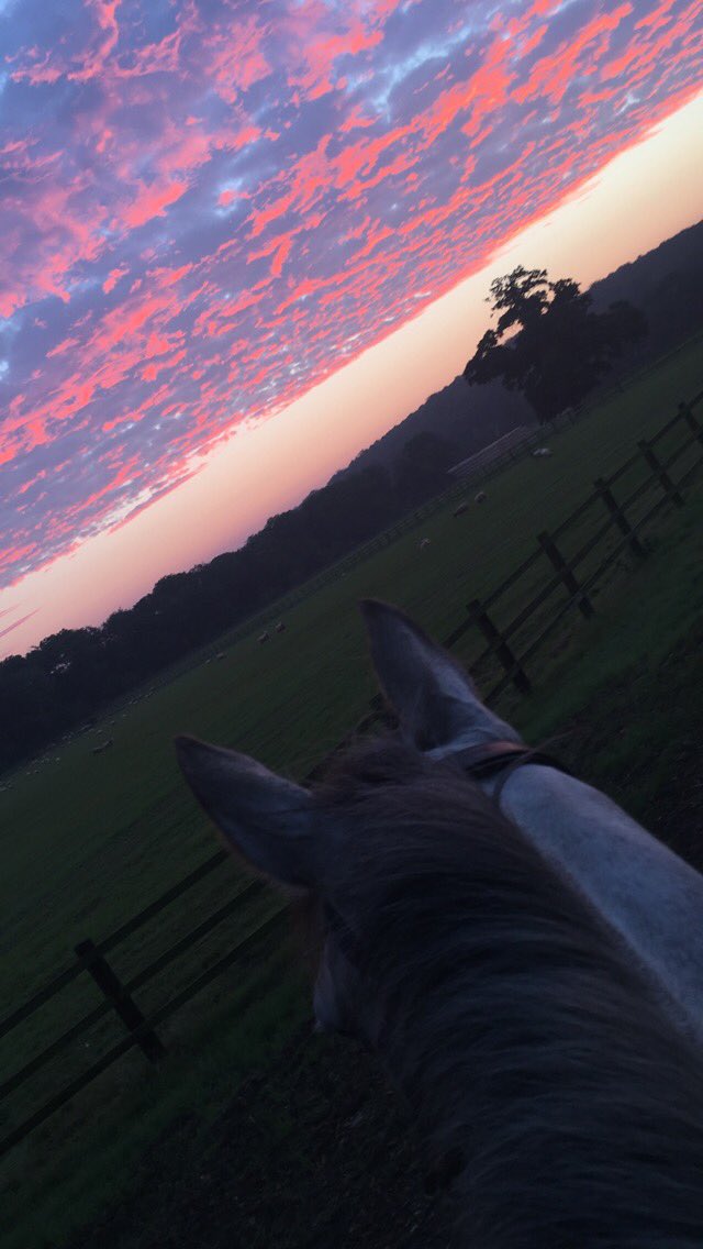 WardeAldam's tweet photo. Evening training with Chilli Chap in my beautiful @Caldene jacket #chillichap https://t.co/0PCNrobLLq