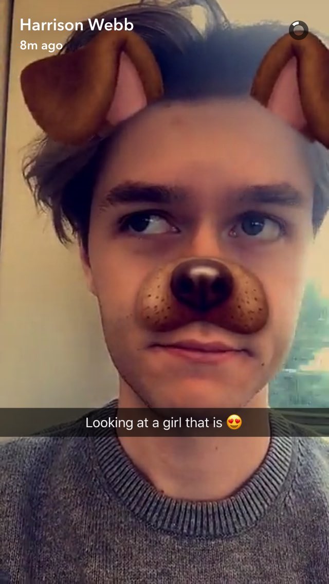 TrinityLouisa's tweet photo. @HarrisonWebb97 this is the cutest thing I have ever seen ❤️ https://t.co/snMMZ0tYFk